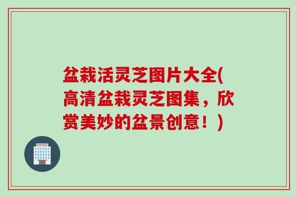 盆栽活灵芝图片大全(高清盆栽灵芝图集，欣赏美妙的盆景创意！)