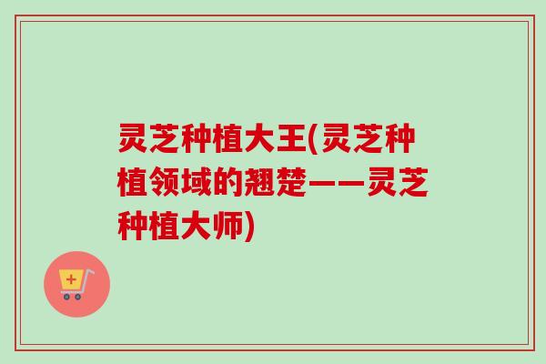 灵芝种植大王(灵芝种植领域的翘楚——灵芝种植大师)