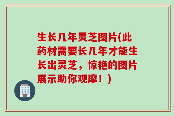 生长几年灵芝图片(此药材需要长几年才能生长出灵芝，惊艳的图片展示助你观摩！)