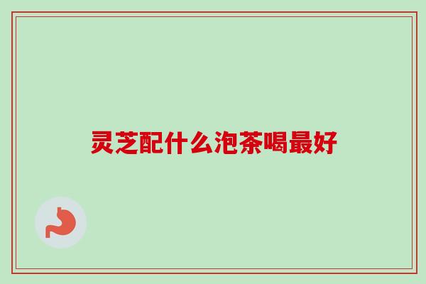 灵芝配什么泡茶喝好