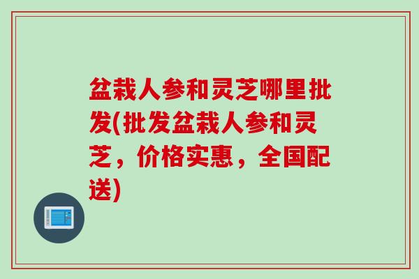 盆栽人参和灵芝哪里批发(批发盆栽人参和灵芝，价格实惠，全国配送)