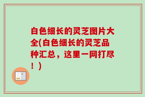 白色细长的灵芝图片大全(白色细长的灵芝品种汇总,这里一网打尽!) 白色细长的灵芝图片大全(白色细长的灵芝品种汇总,这里一网打尽!)