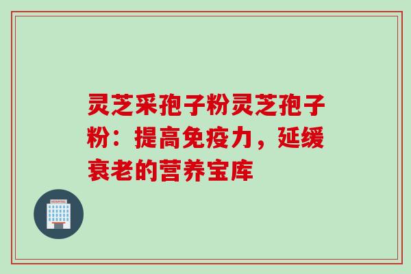 灵芝采孢子粉灵芝孢子粉：提高免疫力，延缓衰老的营养宝库