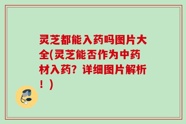 灵芝都能入药吗图片大全(灵芝能否作为材入药？详细图片解析！)