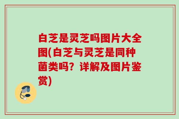 白芝是灵芝吗图片大全图(白芝与灵芝是同种菌类吗？详解及图片鉴赏)