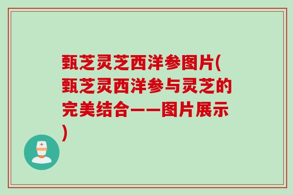 甄芝灵芝西洋参图片(甄芝灵西洋参与灵芝的完美结合——图片展示)