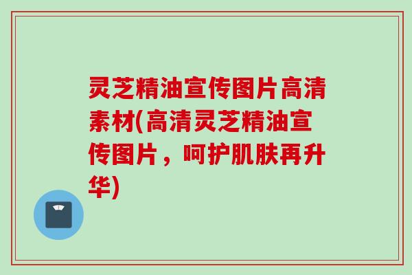 灵芝精油宣传图片高清素材(高清灵芝精油宣传图片，呵护肌肤再升华)