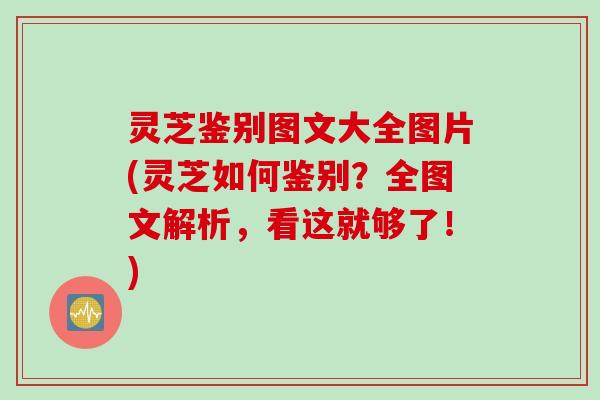 灵芝鉴别图文大全图片(灵芝如何鉴别？全图文解析，看这就够了！)