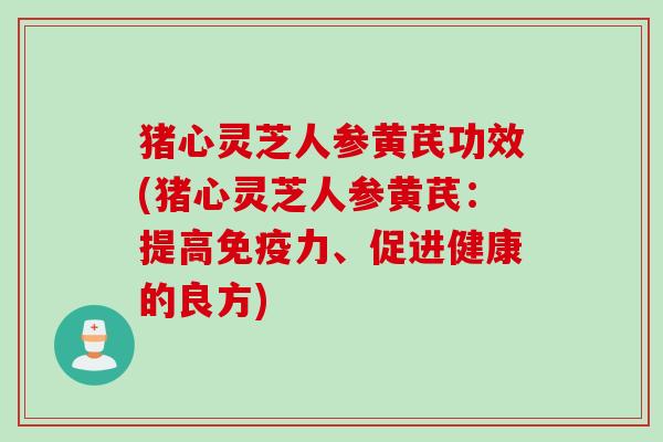 猪心灵芝人参黄芪功效(猪心灵芝人参黄芪：提高免疫力、促进健康的良方)