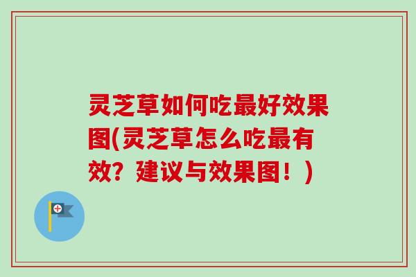 灵芝草如何吃最好效果图(灵芝草怎么吃最有效？建议与效果图！)