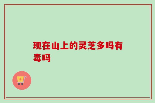 现在山上的灵芝多吗有毒吗 现在山上的灵芝多吗有毒吗