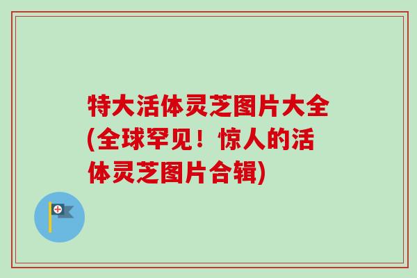 特大活体灵芝图片大全(全球罕见!惊人的活体灵芝图片合辑) 特大活体灵芝图片大全(全球罕见!惊人的活体灵芝图片合辑)