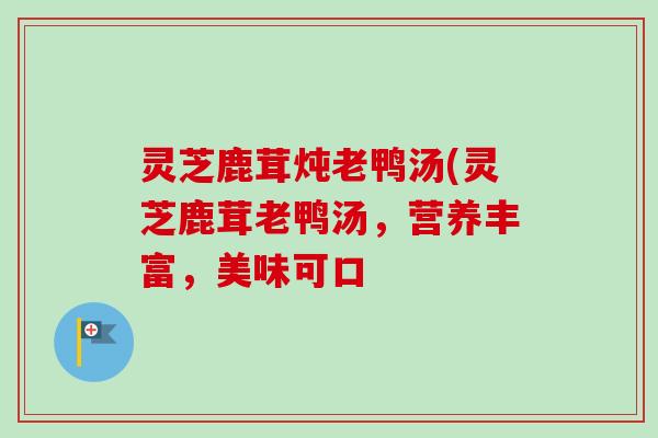 灵芝鹿茸炖老鸭汤(灵芝鹿茸老鸭汤，营养丰富，美味可口