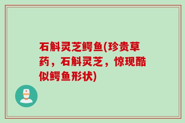 石斛灵芝鳄鱼(珍贵草药，石斛灵芝，惊现酷似鳄鱼形状)