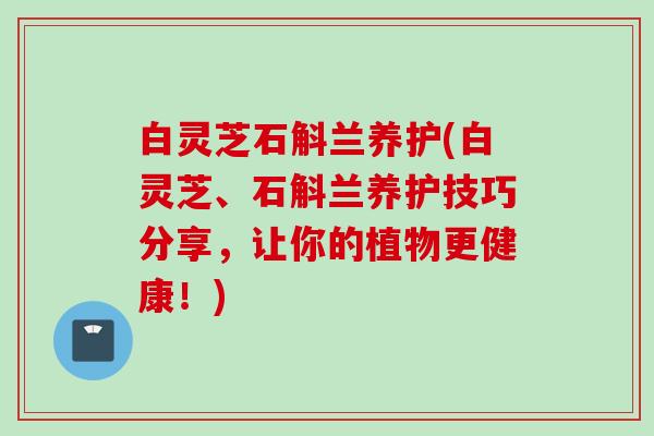 白灵芝石斛兰养护(白灵芝、石斛兰养护技巧分享，让你的植物更健康！)