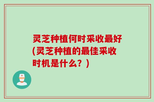 灵芝种植何时采收最好(灵芝种植的最佳采收时机是什么？)