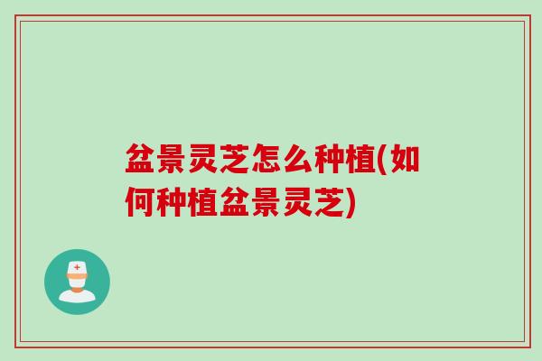 盆景灵芝怎么种植(如何种植盆景灵芝)