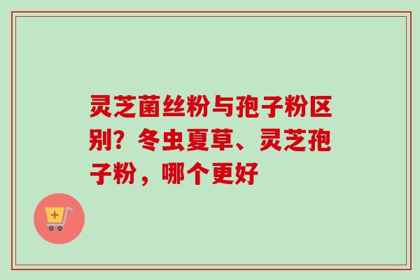 灵芝菌丝粉与孢子粉区别？冬虫夏草、灵芝孢子粉，哪个更好