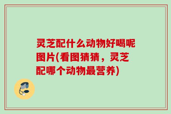 灵芝配什么动物好喝呢图片(看图猜猜，灵芝配哪个动物最营养)