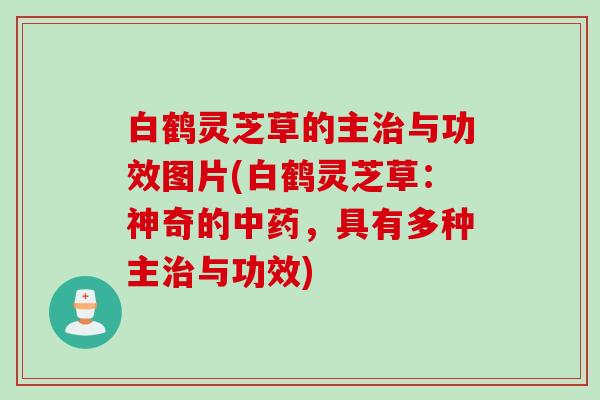 白鹤灵芝草的主与功效图片(白鹤灵芝草:神奇的,具有多种主与功效) 白鹤灵芝草的主与功效图片(白鹤灵芝草:神奇的,具有多种主与功效)