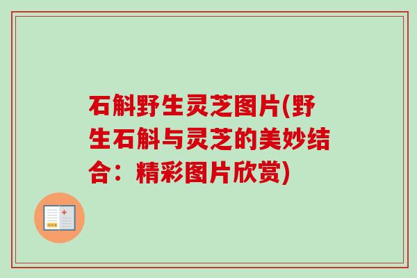 石斛野生灵芝图片(野生石斛与灵芝的美妙结合：精彩图片欣赏)