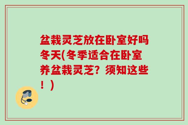 盆栽灵芝放在卧室好吗冬天(冬季适合在卧室养盆栽灵芝?须知这些!) 盆栽灵芝放在卧室好吗冬天(冬季适合在卧室养盆栽灵芝?须知这些!)