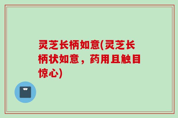灵芝长柄如意(灵芝长柄状如意，药用且触目惊心)