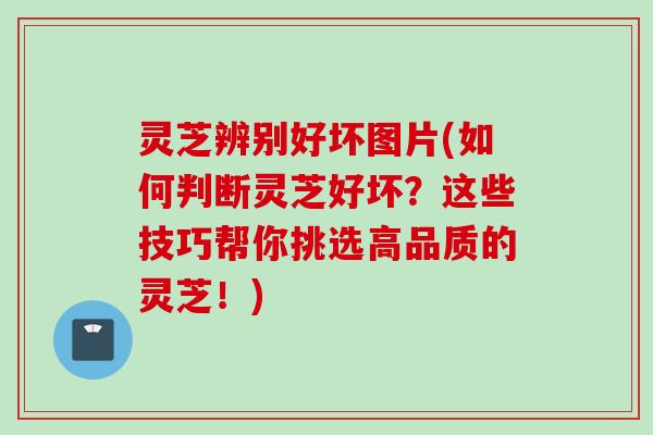 灵芝辨别好坏图片(如何判断灵芝好坏？这些技巧帮你挑选高品质的灵芝！)
