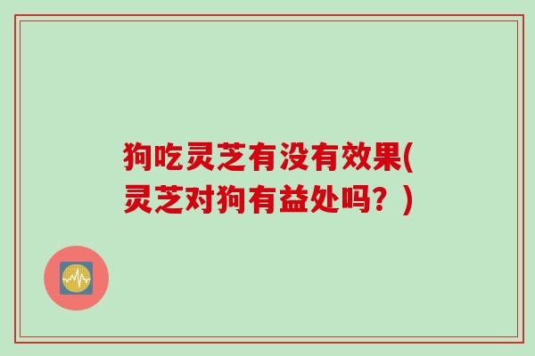 狗吃灵芝有没有效果(灵芝对狗有益处吗?) 狗吃灵芝有没有效果(灵芝对狗有益处吗?)