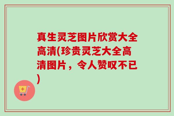 真生灵芝图片欣赏大全高清(珍贵灵芝大全高清图片，令人赞叹不已)