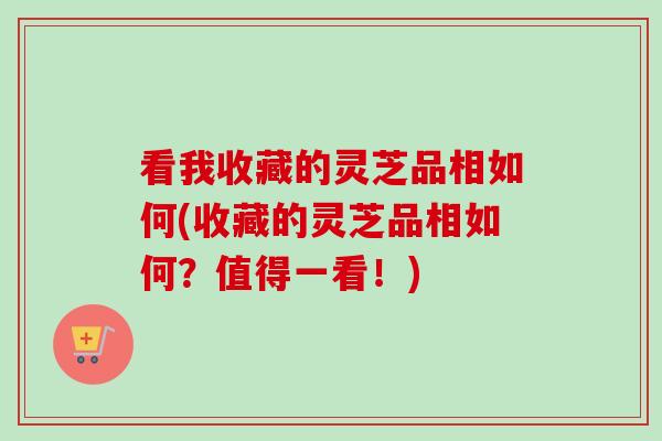 看我收藏的灵芝品相如何(收藏的灵芝品相如何？值得一看！)
