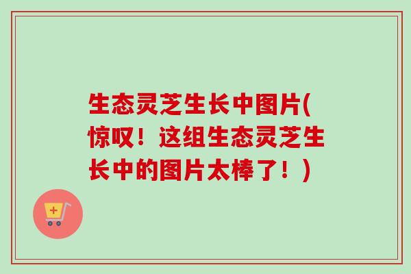 生态灵芝生长中图片(惊叹！这组生态灵芝生长中的图片太棒了！)