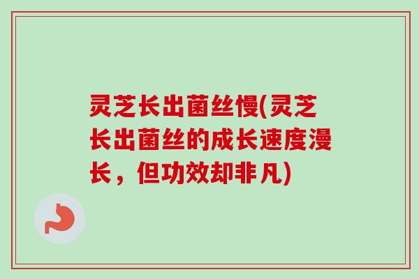 灵芝长出菌丝慢(灵芝长出菌丝的成长速度漫长,但功效却非凡) 灵芝长出菌丝慢(灵芝长出菌丝的成长速度漫长,但功效却非凡)