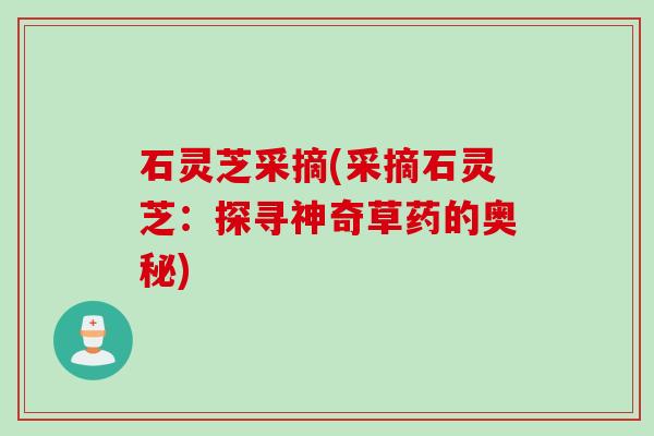 石灵芝采摘(采摘石灵芝:探寻神奇草药的奥秘) 石灵芝采摘(采摘石灵芝:探寻神奇草药的奥秘)
