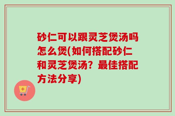 砂仁可以跟灵芝煲汤吗怎么煲(如何搭配砂仁和灵芝煲汤？最佳搭配方法分享)