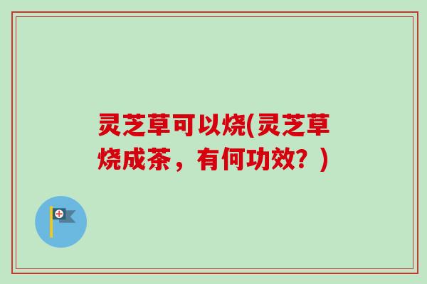 灵芝草可以烧(灵芝草烧成茶，有何功效？)