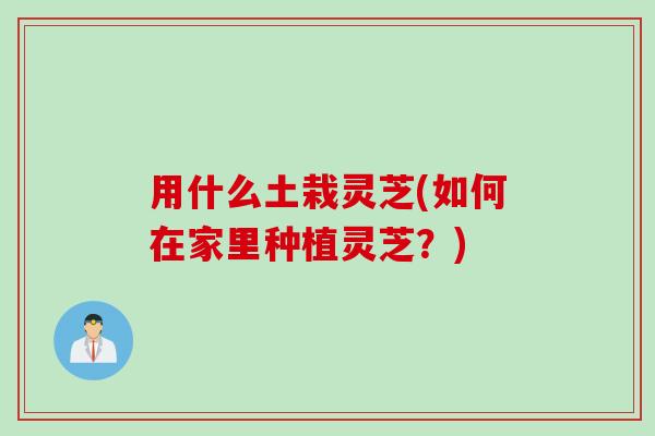 用什么土栽灵芝(如何在家里种植灵芝?) 用什么土栽灵芝(如何在家里种植灵芝?)