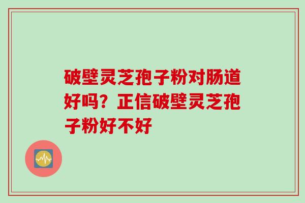 破壁灵芝孢子粉对肠道好吗？正信破壁灵芝孢子粉好不好