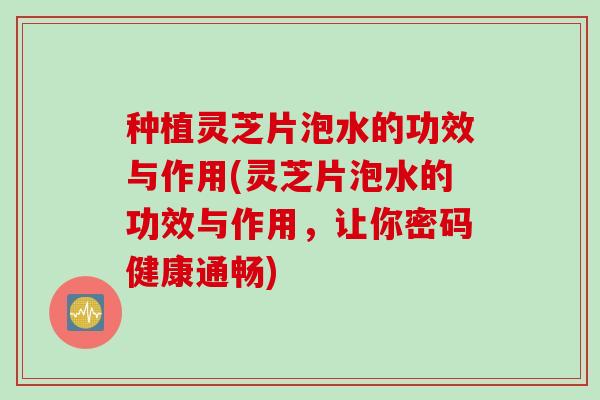 种植灵芝片泡水的功效与作用(灵芝片泡水的功效与作用,让你密码健康通畅) 种植灵芝片泡水的功效与作用(灵芝片泡水的功效与作用,让你密码健康通畅)