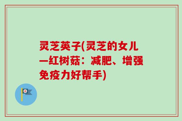 灵芝英子(灵芝的女儿—红树菇:、增强免疫力好帮手) 灵芝英子(灵芝的女儿—红树菇:、增强免疫力好帮手)