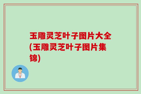 玉雕灵芝叶子图片大全(玉雕灵芝叶子图片集锦)