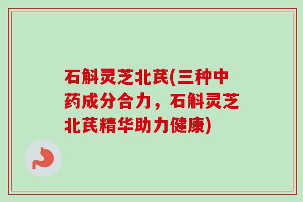 石斛灵芝北芪(三种成分合力，石斛灵芝北芪精华助力健康)