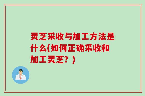 灵芝采收与加工方法是什么(如何正确采收和加工灵芝？)
