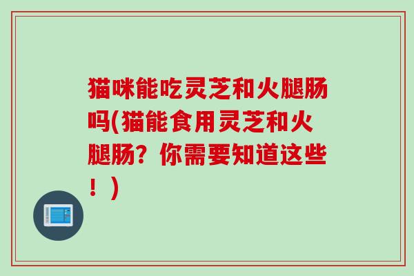 猫咪能吃灵芝和火腿肠吗(猫能食用灵芝和火腿肠？你需要知道这些！)