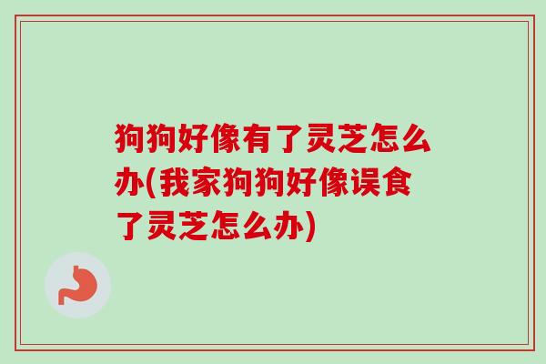 狗狗好像有了灵芝怎么办(我家狗狗好像误食了灵芝怎么办)