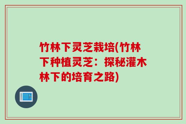 竹林下灵芝栽培(竹林下种植灵芝:探秘灌木林下的培育之路) 竹林下灵芝栽培(竹林下种植灵芝:探秘灌木林下的培育之路)