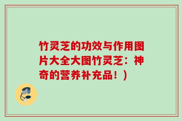 竹灵芝的功效与作用图片大全大图竹灵芝：神奇的营养补充品！)