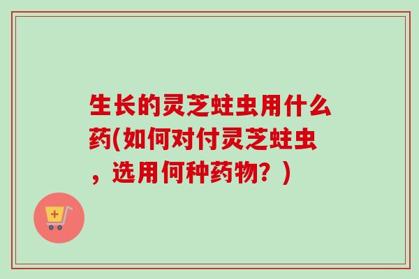 生长的灵芝蛀虫用什么药(如何对付灵芝蛀虫,选用何种?) 生长的灵芝蛀虫用什么药(如何对付灵芝蛀虫,选用何种?)