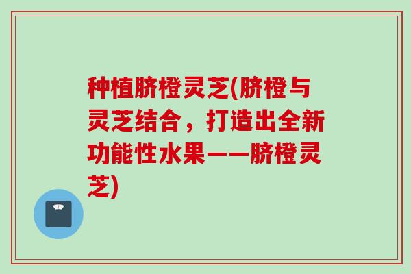 种植脐橙灵芝(脐橙与灵芝结合，打造出全新功能性水果——脐橙灵芝)