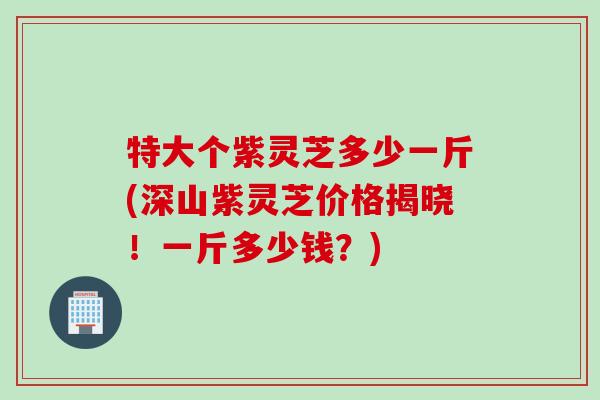 特大个紫灵芝多少一斤(深山紫灵芝价格揭晓!一斤多少钱?) 特大个紫灵芝多少一斤(深山紫灵芝价格揭晓!一斤多少钱?)